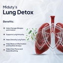 miduty-lung-detox-nac-supplement-400-mg--81did235A7L.jpg