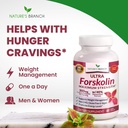 ultra-pure-forskolin-for-weight-manageme-6.jpg