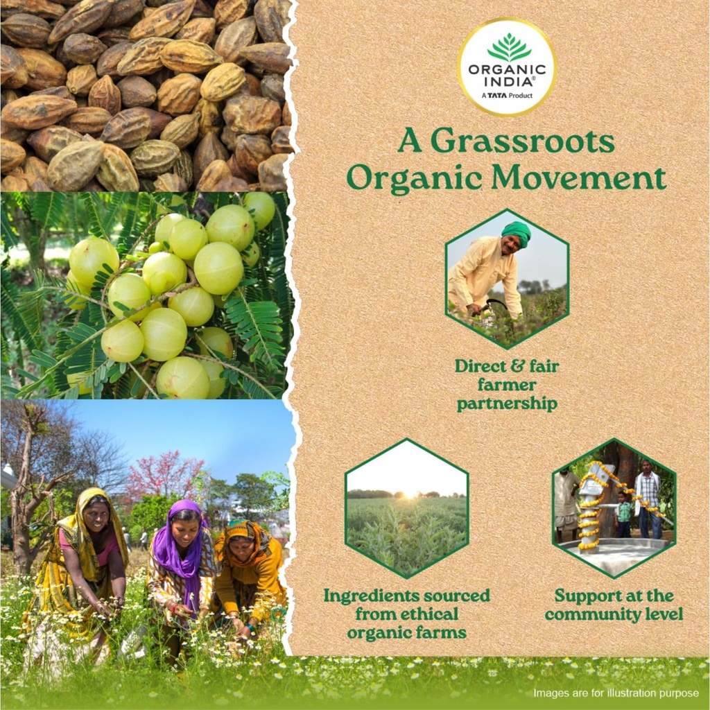 a-tata-product-organic-india-triphala-po-81doo5A4UvL.jpg
