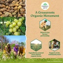 a-tata-product-organic-india-triphala-po-81doo5A4UvL.jpg