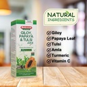 baidyanath-asli-ayurved-giloy-papaya-tul-61RoX0LOJ3L.jpg