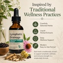nabhi-lymphatic-drainage-drops-2-fl-oz-6-71DvXMMO9JL.jpg