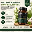 brahmi-500-mg-shankhpushpi-300-mg-ginkgo-71jFCgUnv7L.jpg