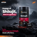 himalaya-shilajit-gummies-with-ksm-66-as-81S5XZfPnIL.jpg