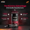 himalaya-shilajit-gummies-with-ksm-66-as-81CmyZViYWL.jpg