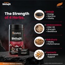 himalaya-shilajit-gummies-with-ksm-66-as-81CfJkBYNsL.jpg