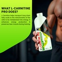 muscleblaze-liquid-l-carnitine-pro-3300m-71AAYQQFP1L.jpg