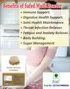safed-musli-powder-organic-100-grams-of--81wcejbHxGL.jpg