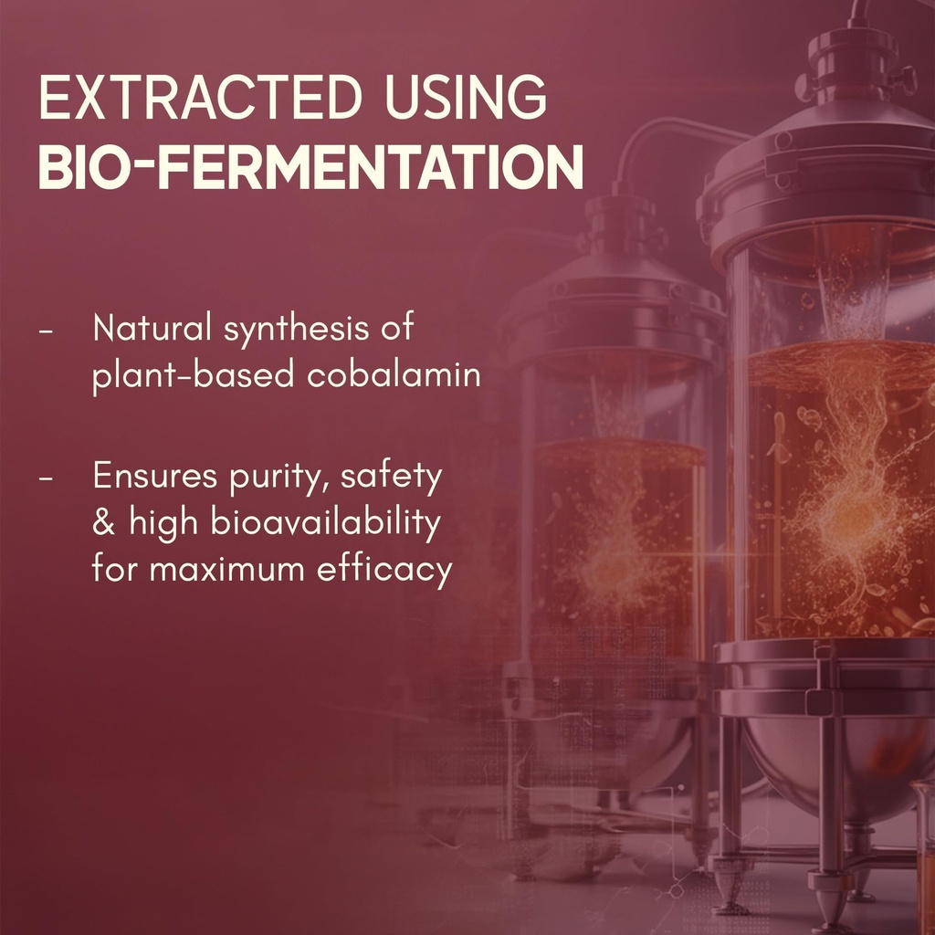 rasayanam-plant-based-vitamin-b12-100-ve-71MGyf-ofDL.jpg