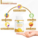 grenera-turmeric-capsules-haldi-with-bla-71hl7DtYbPL.jpg