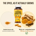 walpar-organic-curcumin-turmeric-with-pi-61RZLFVoJCL.jpg