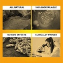 goa-nutritions-curcumin-supplements-with-61vpIatvmtL.jpg
