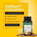 curcumin-capsules-with-piperine-and-95-c-61dcfR43olL.jpg