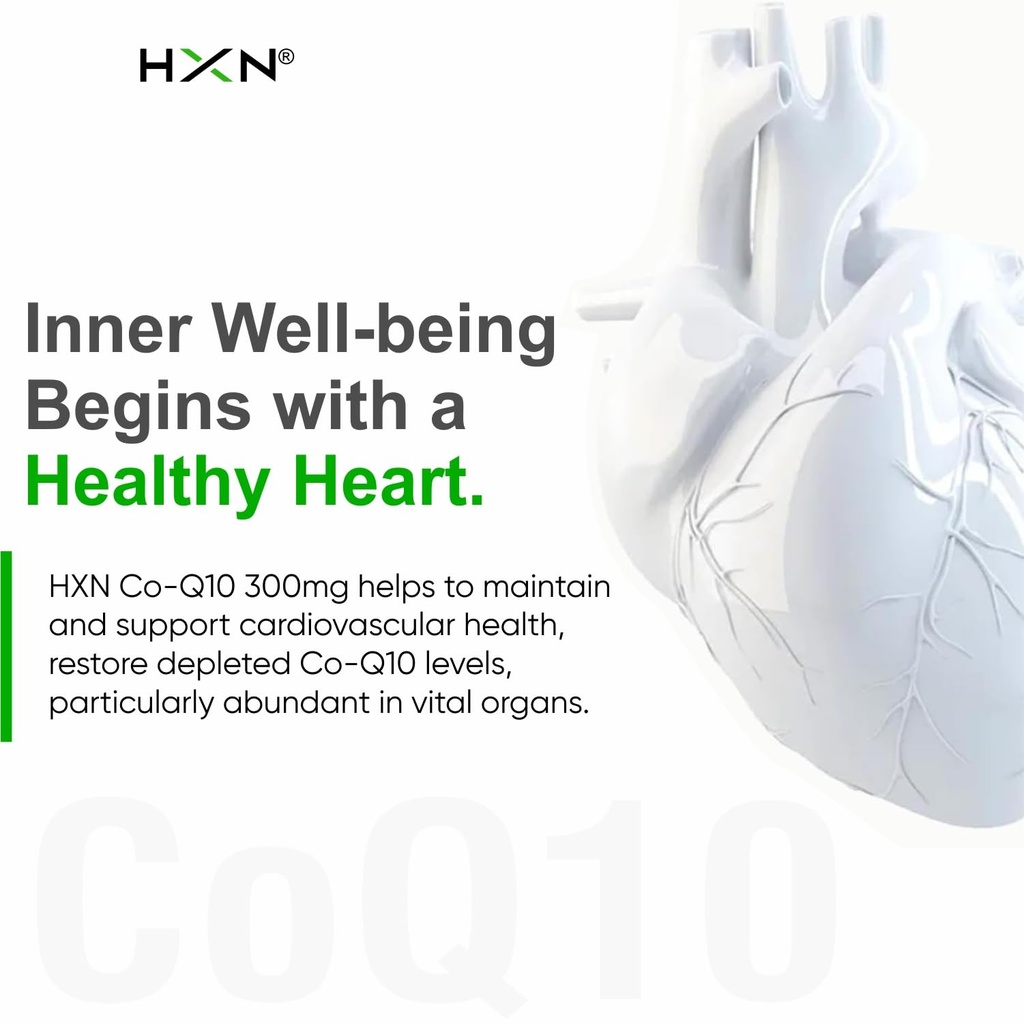 hxn-coq10-supplement-coenzyme-q10-high-s-619hZ8lMAEL.jpg