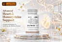 tmg-leewell-betaine-500mg-trimethyglycin-71-4Xb3oVLL.jpg
