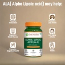 pure-nutrition-alpha-lipoic-acid-ala-300-61trMrKTUYL.jpg
