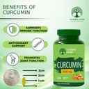 vruksha-vitals-curcumin-with-piperine-95-61uFMN5+qwL.jpg
