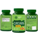 vruksha-vitals-curcumin-with-piperine-95-81+c8k8MDaL.jpg