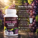 alpspure-nutra-grape-seed-extract-tablet-61qCbYwTxLL.jpg