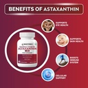 biotrex-nutraceuticals-astaxanthin-4mg-s-71kl04CXzSL.jpg