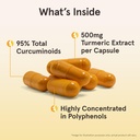 jarrow-formulas-curcumin-95-500-mg-120-v-71GQMMy89JL.jpg