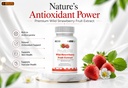 leewell-wild-strawberry-fruit-extract-po-713vivIe56L.jpg