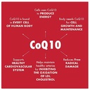 keva-co-enzyme-q-10-drops-immunity-boost-61qD5Au9NEL.jpg
