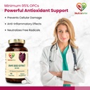 opc-grape-seed-extract-capsules-minimum--61I7kdh9g3L.jpg