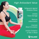 tq-wellness-quercetin-with-bromelain-que-81lyrGqlB+L.jpg