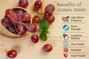 parshwa-grape-seed-angur-beej-angoor-see-71aO--LdvlL.jpg