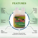 1500mg-liquid-glucosamine-chondroitin----4.jpg