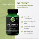 moringa-oleifera-powder-neemint-oil-well-61sgukM5bQL.jpg