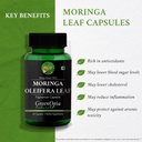 lactobacillus-moringa-oleifera-powder-we-61k3vWAxvuL.jpg