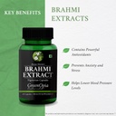 brahmi-multivitamins-for-women-wellness--61Tqt-2z5KL.jpg