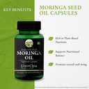 fish-oil-moringa-seed-wellness-daily-vit-61D7eLvryYL.jpg