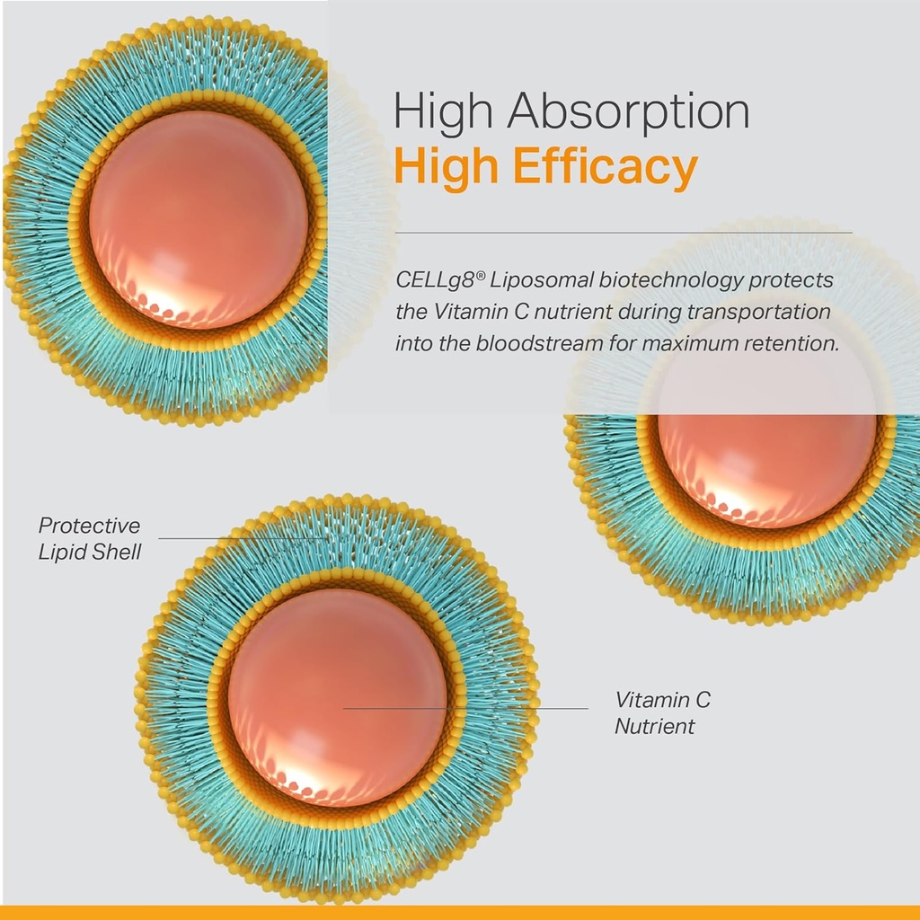 liposomal-vitamin-c-supplement---enhance-4.jpg