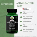 ashwagandha-ksm66-moringa-oleifera-powde-61bSrFsQE6L.jpg