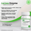 lactase-enzyme-60-vegetarian-capsules-90-61oAPN2e4sL.jpg