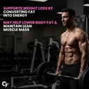 carbamide-forte-night-day-fat-burner-for-619GYi3UXYL.jpg