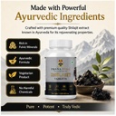 shilajit-tablets-for-men-women-ayurvedic-61d0mwEPVtL.jpg