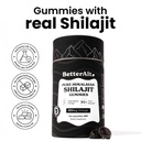 better-alt-pure-himalayan-shilajit-shila-71KlnVoSktL.jpg