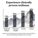 better-alt-pure-himalayan-shilajit-shila-71uYBt0epGL.jpg