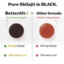 better-alt-pure-himalayan-shilajit-shila-61BuLLg-XwL.jpg