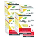 shrey-s-cod-liver-oil-vitamins-a-d-boost-61r29XVhmBL.jpg