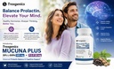 trexgenics-mucuna-20-l-dopa-500-mg-p5p-5-71Qn8K+xhIL.jpg