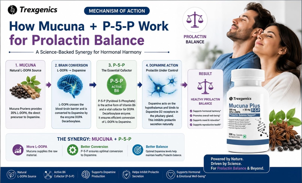 trexgenics-mucuna-20-l-dopa-500-mg-p5p-5-716mxexFbTL.jpg