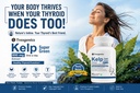 trexgenics-kelp-extract-super-greens-thy-71+-gCAF57L.jpg