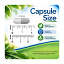 ayurvedic-herbs-17-in-1-supplement-mind--81L0PkH6heL.jpg