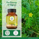 a-tata-product-organic-india-pure-gokshu-71ORcSVASQL.jpg