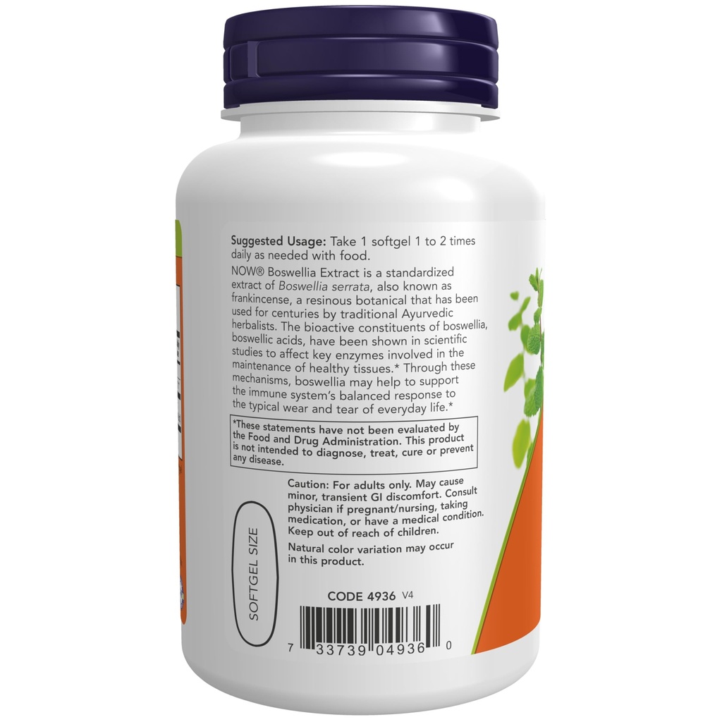 now-foods-boswellia-extract-500-mg-90-so-71vzyrTMkLL.jpg